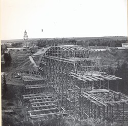 005.jpg
