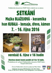 2016-10-06Bonsaje.jpg