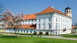 294867-top_foto1-cdibr.jpg