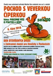 Bez nzvu.jpg