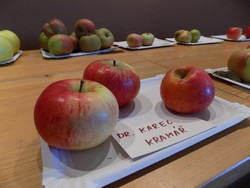 DSCN4552.JPG
