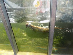 DSCN4580.JPG
