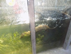 DSCN4599.JPG