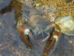 DSCN6680.JPG