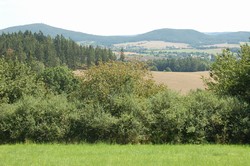 DSC_0382.jpg