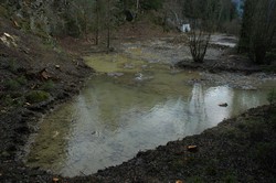 DSC_1247.JPG