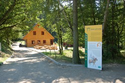 DSC_1355.JPG