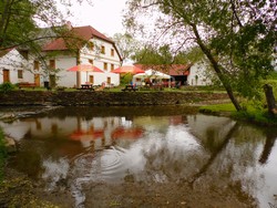 IMG_0569.JPG