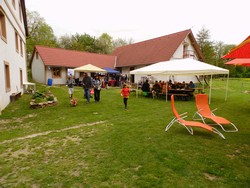 IMG_0603.JPG