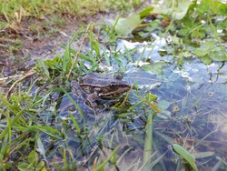 IMG_20170404_154546.jpg