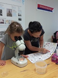 IMG_20170604_143612.jpg