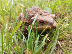 IMG_20170606_150728.jpg