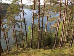 IMG_20180518_171327.jpg