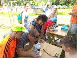IMG_20180602_144231.jpg