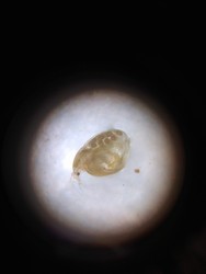 IMG_20180602_145119.jpg