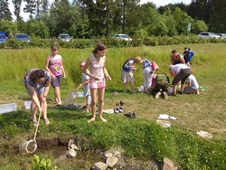 IMG_20180602_151515.jpg