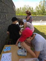 IMG_20180602_152544.jpg