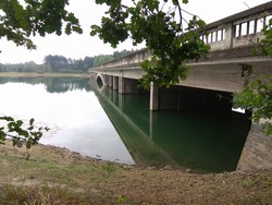 IMG_20180914_152910.jpg