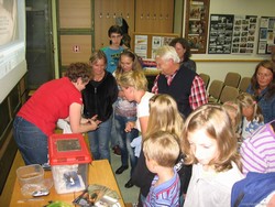 IMG_3924.jpg