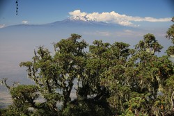 IMG_6455.jpg