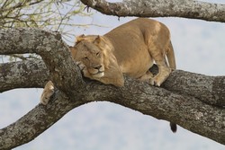 IMG_7438.jpg
