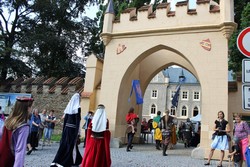 IMG_7972.jpg