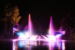 IMG_8098.JPG