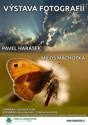 Plakat.jpg