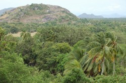 SRILANKA_023.jpg