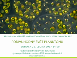 Vstava plakt.png