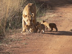 afrika 17.JPG