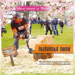 program MS ve Vlaimi 2018-7.jpg