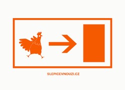 slepice-vizual2.jpg
