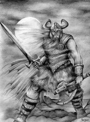 viking.jpg