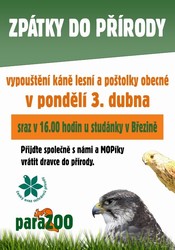 zptky.jpg